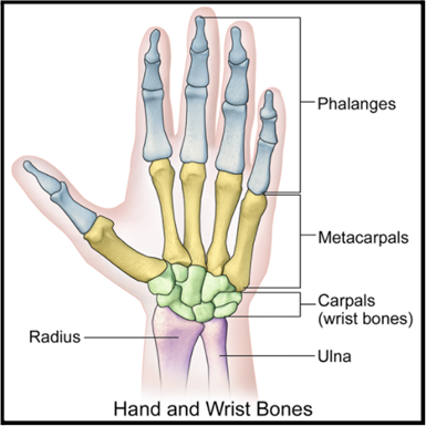 Pains in best sale the wrist joints