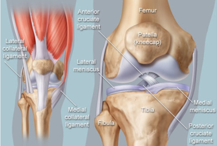 Pain top across kneecap