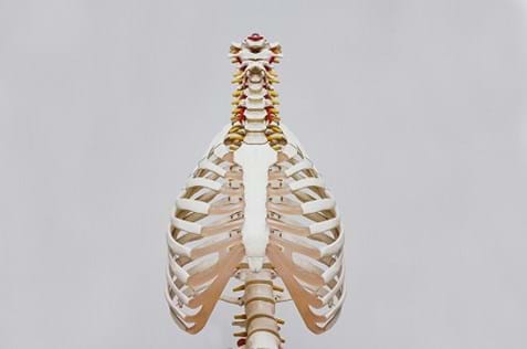 Back pain  healthdirect