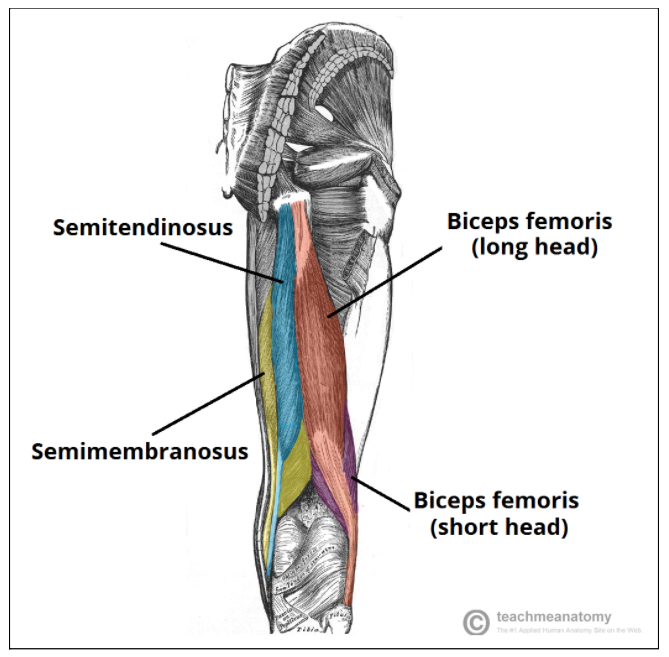 How Do I Stop Recurrent Hamstring Strains?